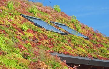 Rawgreen living roof systems