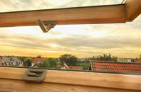 rated Rawgreen roof window companies